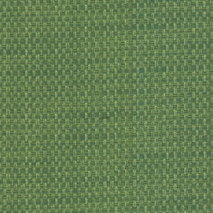 Avino Verde by Kasmir Fabric 5099 64% Cotton 36% Polyester CHINA 50,000 Wyzenbeek Double Rubs Horizontal: 0 Inches and Vertical: 0 Inches 55 - Fabric Carolina -