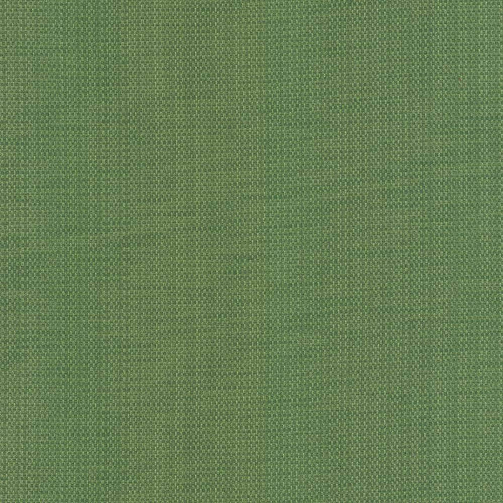 Avino Verde by Kasmir Fabric 5099 64% Cotton 36% Polyester CHINA 50,000 Wyzenbeek Double Rubs H: N/A, V:N/A 55 - Fabric Carolina - Kasmir