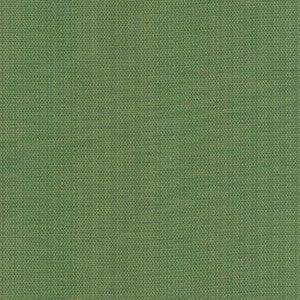 Avino Verde by Kasmir Fabric