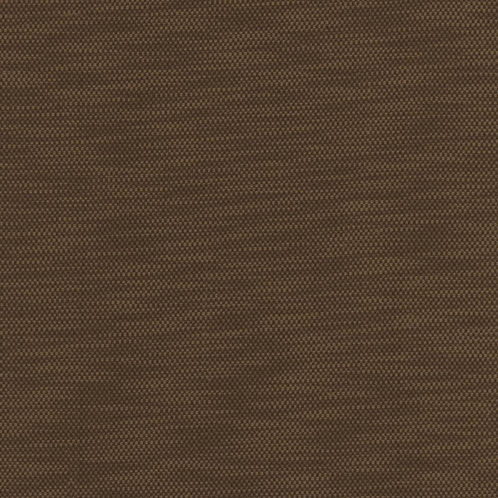 Avino Walnut by Kasmir Fabric 5101 64% Cotton
36% Polyester
 CHINA </p><p>Repeat: Horizontal: N/A and Vertical: N/A 55 - Fabric Carolina -