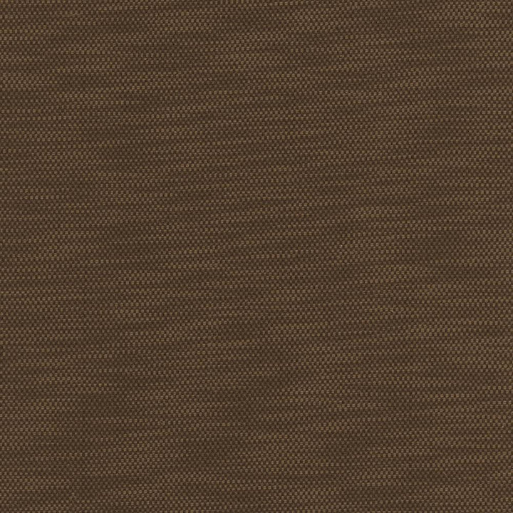 Avino Walnut by Kasmir Fabric 5101 64% Cotton 36% Polyester CHINA 50,000 Wyzenbeek Double Rubs H: N/A, V:N/A 55 - Fabric Carolina - Kasmir