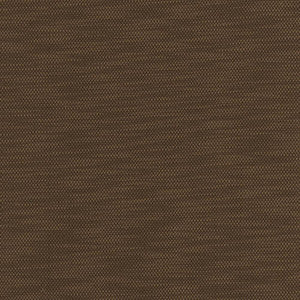 Avino Walnut by Kasmir Fabric