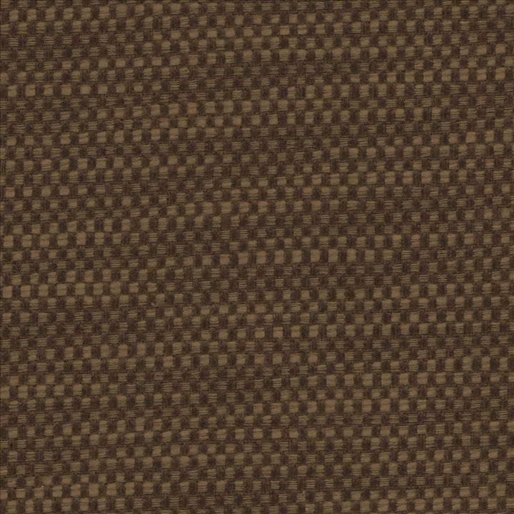 Avino Walnut by Kasmir Fabric 5101 64% Cotton 36% Polyester CHINA 50,000 Wyzenbeek Double Rubs Horizontal: 0 Inches and Vertical: 0 Inches 55 - Fabric Carolina -