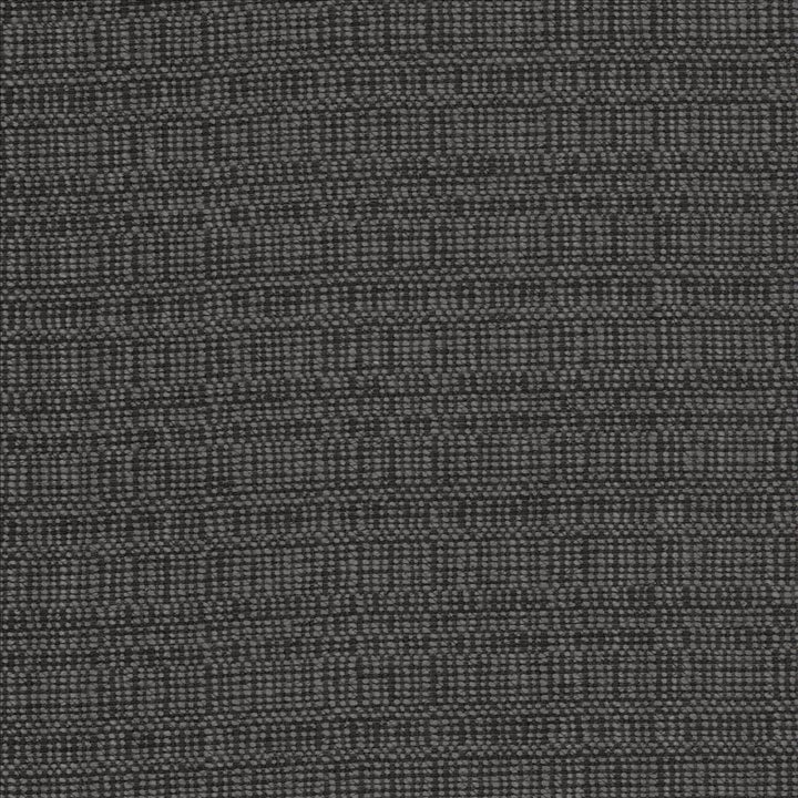 Aziza Charcoal by Kasmir Fabric 5101 55% Rayon
45% Polyester
 CHINA 50,000 Martindale Cycles </p><p>Repeat: Horizontal: N/A and Vertical: N/A 55 - Fabric Carolina -