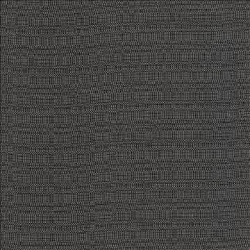 Aziza Charcoal by Kasmir Fabric 5101 55% Rayon 45% Polyester CHINA 50,000 Martindale Cycles H: N/A, V: N/A 55 - 58 - Fabric Carolina - Kasmir