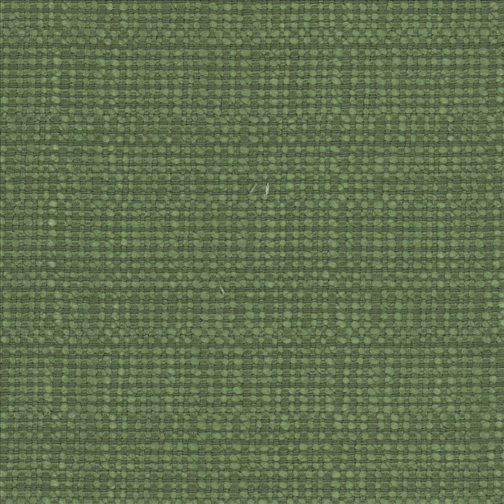 Aziza Grass by Kasmir Fabric 5099 55% Rayon
45% Polyester
 CHINA 50,000 Martindale Cycles Horizontal: N/A and Vertical: N/A 55 - Fabric Carolina -