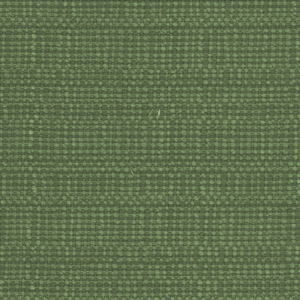 Aziza Grass by Kasmir Fabric 5099 55% Rayon
45% Polyester
 CHINA </p><p>Repeat: Horizontal: N/A and Vertical: N/A 55 - 58 - Fabric Carolina -
