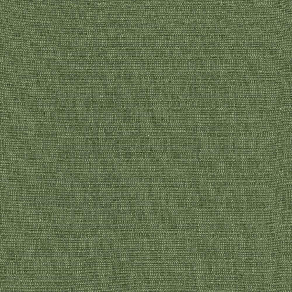Aziza Grass by Kasmir Fabric 5099 55% Rayon
45% Polyester
 CHINA </p><p>Repeat: Horizontal: N/A and Vertical: N/A 55 - 58 - Fabric Carolina -
