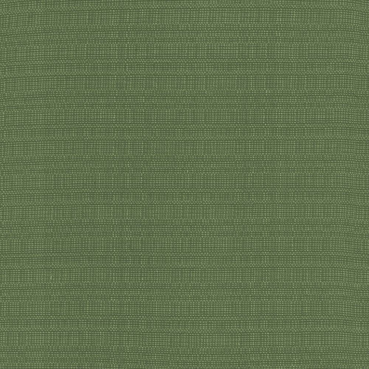 Aziza Grass by Kasmir Fabric 5099 55% Rayon
45% Polyester
 CHINA </p><p>Repeat: Horizontal: N/A and Vertical: N/A 55 - 58 - Fabric Carolina -