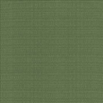Aziza Grass by Kasmir Fabric 5099 55% Rayon 45% Polyester CHINA 50,000 Martindale Cycles H: N/A, V: N/A 55 - 58 - Fabric Carolina - Kasmir