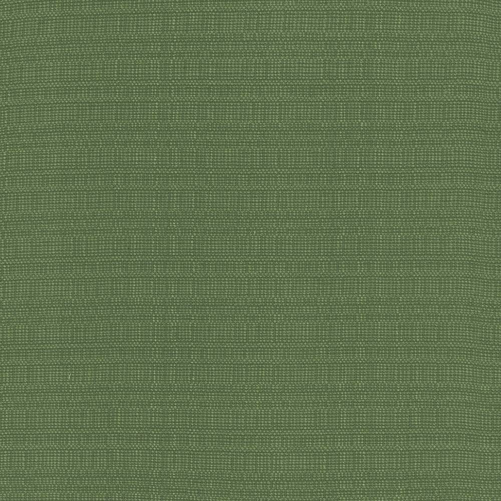 Aziza Grass by Kasmir Fabric 5099 55% Rayon 45% Polyester CHINA 50,000 Martindale Cycles H: N/A, V:N/A 55 - 58 - Fabric Carolina - Kasmir