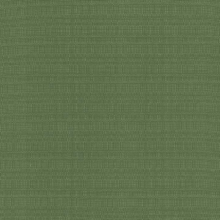 Aziza Grass by Kasmir Fabric 5099 55% Rayon 45% Polyester CHINA 50,000 Martindale Cycles H: N/A, V:N/A 55 - 58 - Fabric Carolina - Kasmir