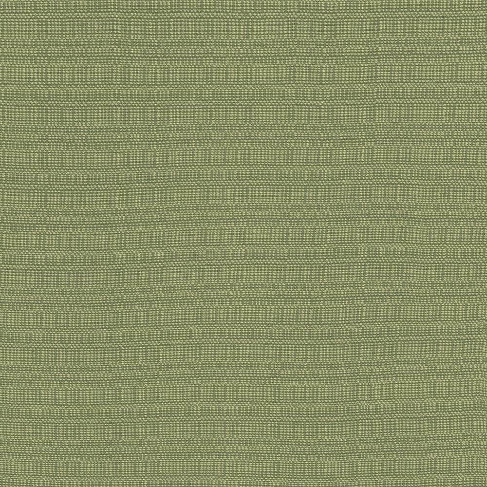 Aziza Ivy by Kasmir Fabric 5099 55% Rayon 45% Polyester CHINA 50,000 Martindale Cycles H: N/A, V:N/A 55 - 58 - Fabric Carolina - Kasmir