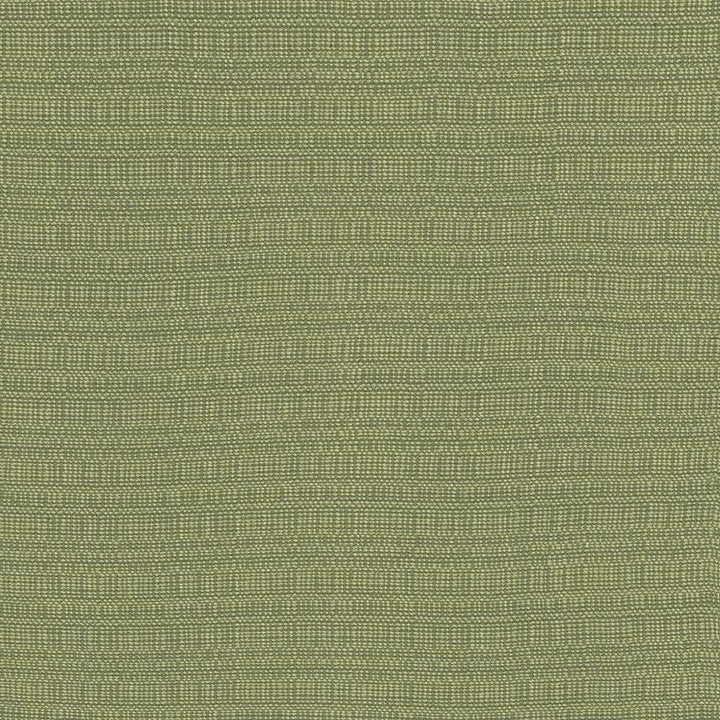 Aziza Ivy by Kasmir Fabric 5099 55% Rayon 45% Polyester CHINA 50,000 Martindale Cycles H: N/A, V:N/A 55 - 58 - Fabric Carolina - Kasmir