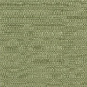 Aziza Ivy by Kasmir Fabric 5099 55% Rayon 45% Polyester CHINA 50,000 Martindale Cycles H: N/A, V: N/A 55 - 58 - Fabric Carolina - Kasmir