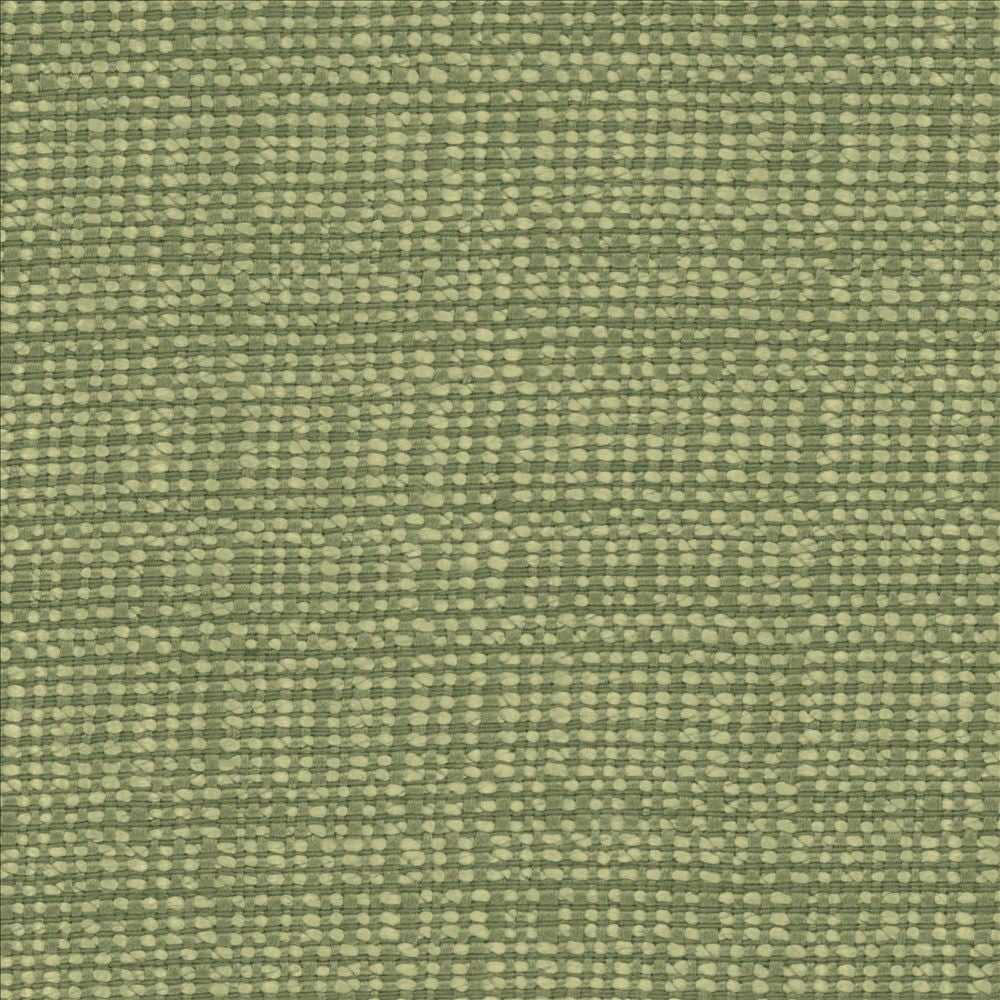 Aziza Ivy by Kasmir Fabric 5099 55% Rayon
45% Polyester
 CHINA 50,000 Martindale Cycles </p><p>Repeat: Horizontal: N/A and Vertical: N/A 55 - Fabric Carolina -