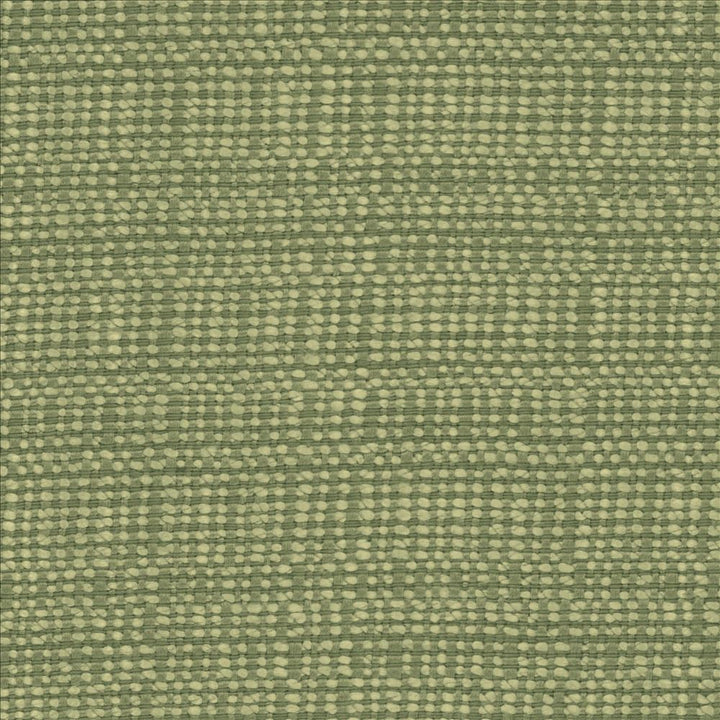 Aziza Ivy by Kasmir Fabric 5099 55% Rayon
45% Polyester
 CHINA 50,000 Martindale Cycles </p><p>Repeat: Horizontal: N/A and Vertical: N/A 55 - Fabric Carolina -