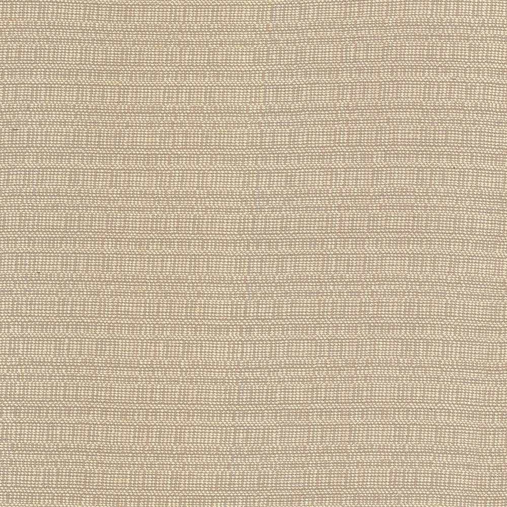 Aziza Sand by Kasmir Fabric 5092 55% Rayon 45% Polyester CHINA 50,000 Martindale Cycles H: N/A, V:N/A 55 - 58 - Fabric Carolina - Kasmir
