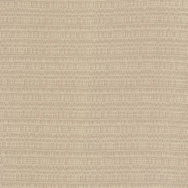Aziza Sand by Kasmir Fabric 5092 55% Rayon 45% Polyester CHINA 50,000 Martindale Cycles H: N/A, V:N/A 55 - 58 - Fabric Carolina - Kasmir