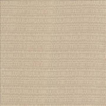 Aziza Sand by Kasmir Fabric 5092 55% Rayon 45% Polyester CHINA 50,000 Martindale Cycles H: N/A, V: N/A 55 - 58 - Fabric Carolina - Kasmir
