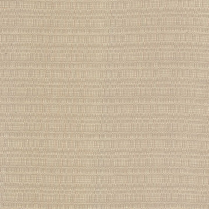 Aziza Sand by Kasmir Fabric 5092 55% Rayon
45% Polyester
 CHINA 50,000 Martindale Cycles Horizontal: N/A and Vertical: N/A 55 - Fabric Carolina -