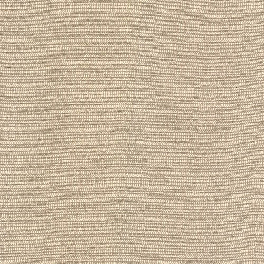 Aziza Sand by Kasmir Fabric 5092 55% Rayon
45% Polyester
 CHINA </p><p>Repeat: Horizontal: N/A and Vertical: N/A 55 - 58 - Fabric Carolina -