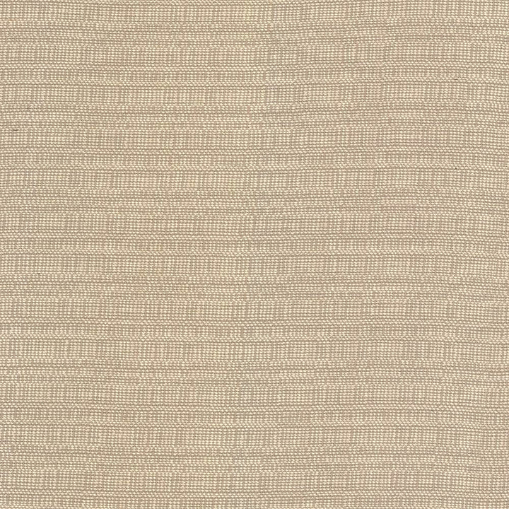 Aziza Sand by Kasmir Fabric 5092 55% Rayon
45% Polyester
 CHINA </p><p>Repeat: Horizontal: N/A and Vertical: N/A 55 - 58 - Fabric Carolina -
