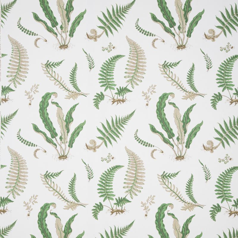 B0860.01 B0860 by Lee Jofa Fabric - Cotton 100% United Kingdom - H" -, V: 24.822 inches 53.978 inches  - Fabric Carolina -  Lee Jofa