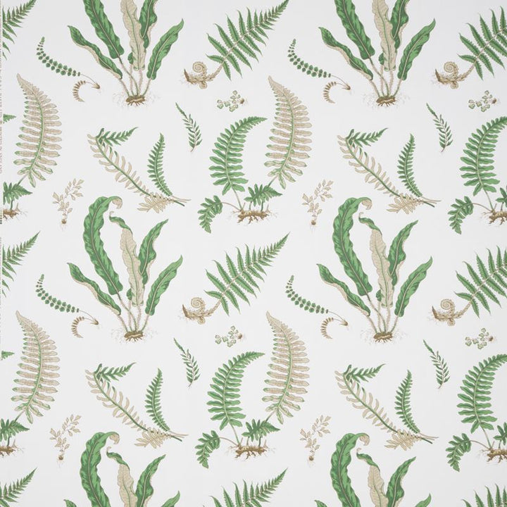 B0860.01 B0860 by Lee Jofa Fabric - Cotton 100% United Kingdom - H" -, V: 24.822 inches 53.978 inches  - Fabric Carolina -  Lee Jofa