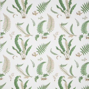 Ferns Print Snow by Lee Jofa Fabric