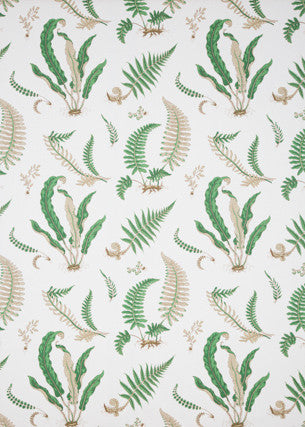 Ferns Print Snow by G P & J Baker Fabric