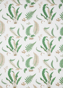 Ferns Print Snow by G P & J Baker Fabric