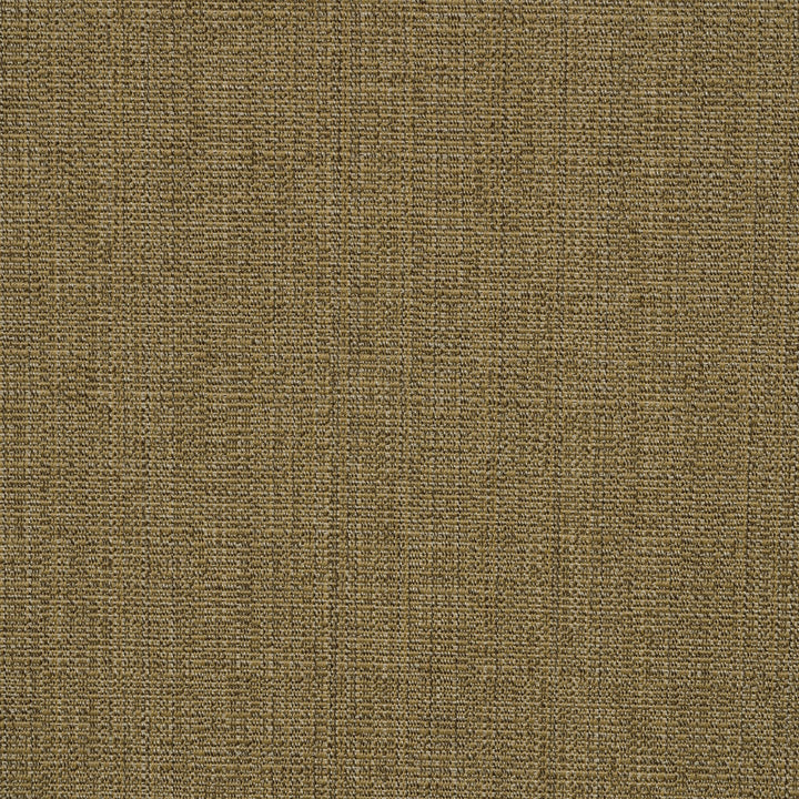 8318 Linen Sesame by Sunbrella Fabric Sunbrella Elements - Linen Sunbrella® Acrylic, Sunbrella® Polyester, Sunbrella® Non-Phthalate PVC USA or Imported 5-Year Horizontal: and Vertical: 60 yd. 54 in. - Fabric Carolina -