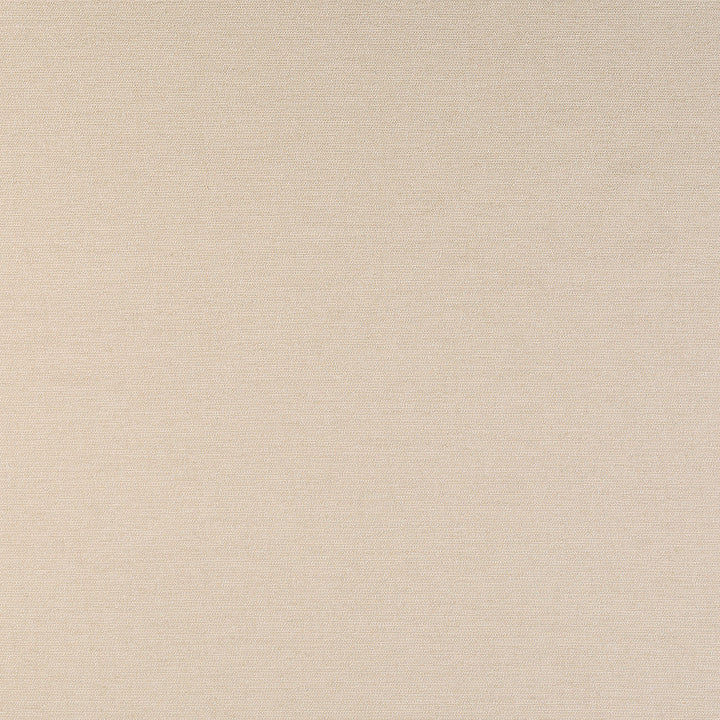 Nuance Eggshell 400000-0002 by Sunbrella Fabric 99% Sunbrella® Acrylic, 1% Sunbrella® Polyester 62500 Horizontal: and Vertical: 54 in. - Fabric Carolina -