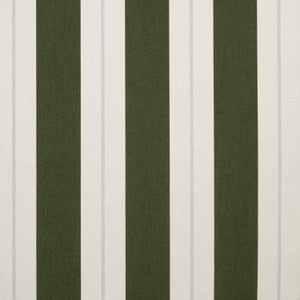 57017-0002 Relate Ivy by Sunbrella Fabric