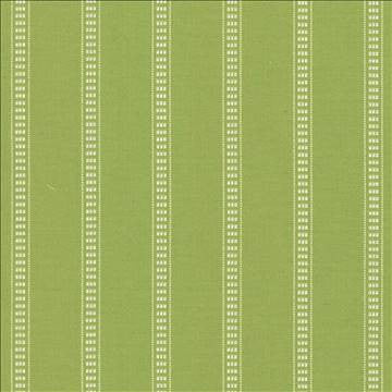 Babbo Stripe Palm by Kasmir Fabric 5074 90% Cotton 10% Polyester TURKEY 30,000 Wyzenbeek Double Rubs H: 1 4/8 inches, V: 2/8 inches 54 - Fabric Carolina - Kasmir