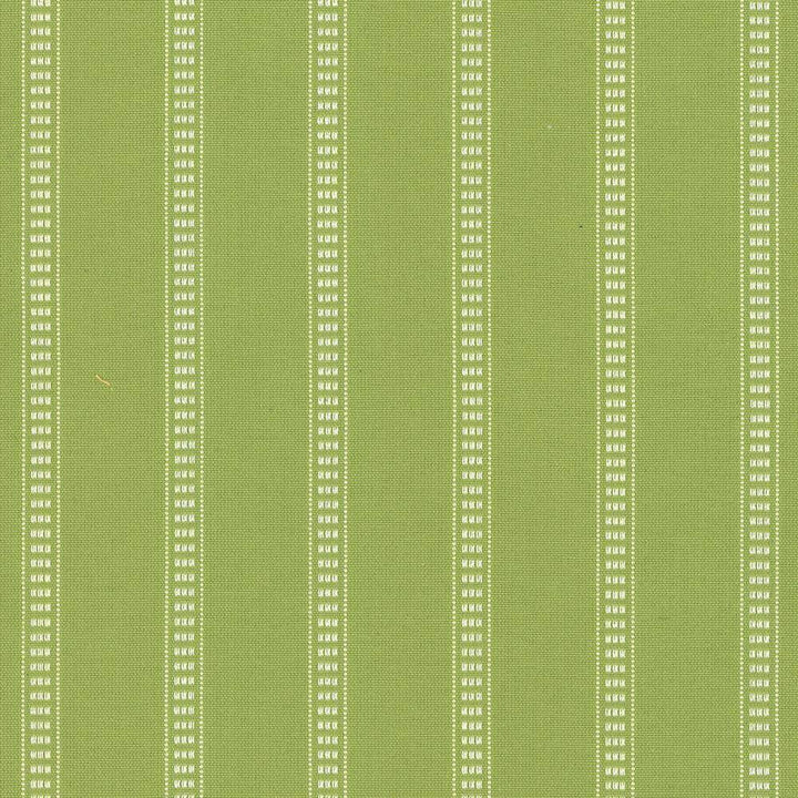 Babbo Stripe Palm by Kasmir Fabric 5074 90% Cotton 10% Polyester TURKEY 30,000 Wyzenbeek Double Rubs H: 1 4/8 inches, V:2/8 inches 54 - Fabric Carolina - Kasmir
