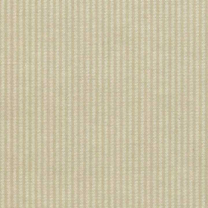 Bahia Ecru by Kasmir Fabric 5037 51% Cotton 49% Polyester TAIWAN 15,000 Wyzenbeek Double Rubs H: 2/8 inches, V:N/A 54 - 55 - Fabric Carolina - Kasmir