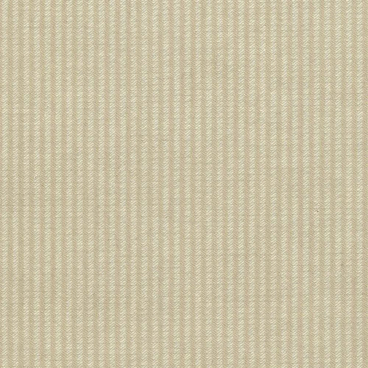 Bahia Ecru by Kasmir Fabric 5037 51% Cotton 49% Polyester TAIWAN 15,000 Wyzenbeek Double Rubs Horizontal: 2/8 inches and Vertical: 0 Inches 54 - 55 - Fabric Carolina -