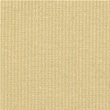 Bahia Honeydew by Kasmir Fabric 5037 51% Cotton 49% Polyester TAIWAN 15,000 Wyzenbeek Double Rubs H: 2/8 inches, V: N/A 54 - 55 - Fabric Carolina - Kasmir