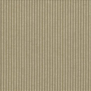 Bahia Pecan by Kasmir Fabric 5037 51% Cotton 49% Polyester TAIWAN 15,000 Wyzenbeek Double Rubs H: 2/8 inches, V: N/A 54 - 55 - Fabric Carolina - Kasmir