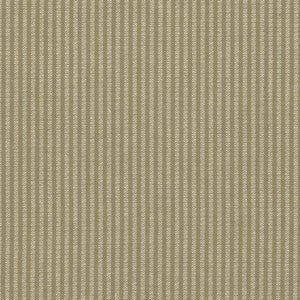 Bahia Pecan by Kasmir Fabric