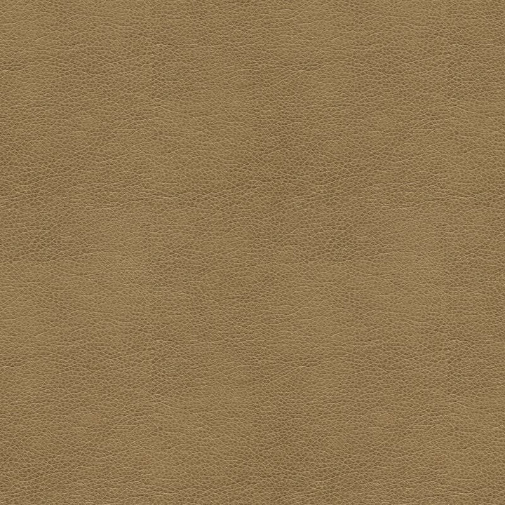 BALARA.106 by Kravet Contract Designer Fabric in our sample Polyurethane 100% China Heavy Horizontal: See Sample and Vertical: See Sample 55 inches - Swanky Fabrics -