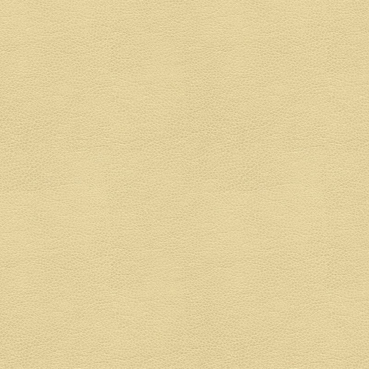 BALARA.116 by Kravet Contract Designer Fabric our website for purchase 100% Leather China Heavy Horizontal: see sample and Vertical: see sample 55 inches - Swanky Fabrics -