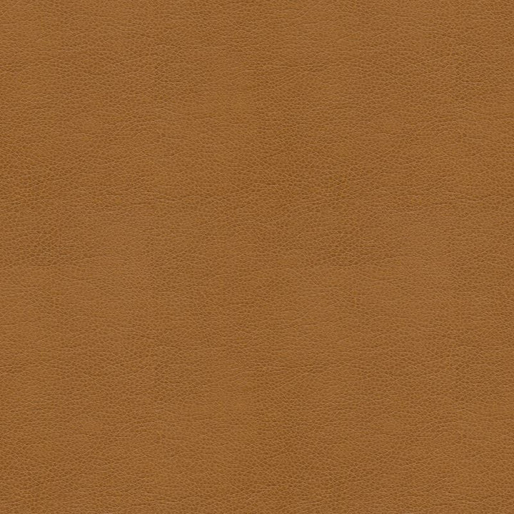 BALARA.16 by Kravet Contract Designer Fabric our website for purchase 100% Leather China Heavy Horizontal: see sample and Vertical: see sample 55 inches - Swanky Fabrics -