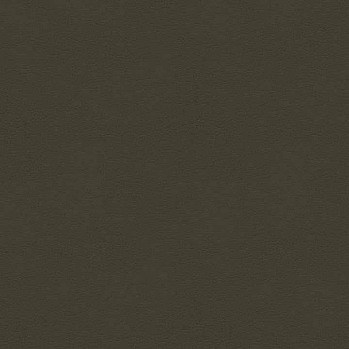 BALARA.21 by Kravet Contract Designer Fabric in our sample Polyurethane 100% China Heavy Horizontal: See Sample and Vertical: See Sample 55 inches - Swanky Fabrics -