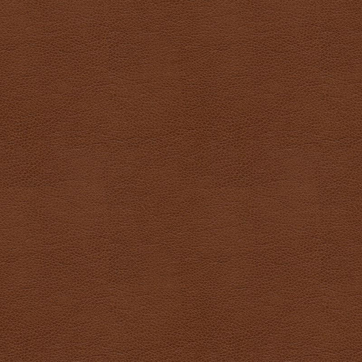 BALARA.6 by Kravet Contract Designer Fabric in our sample Polyurethane 100% China Heavy Horizontal: See Sample and Vertical: See Sample 55 inches - Swanky Fabrics -