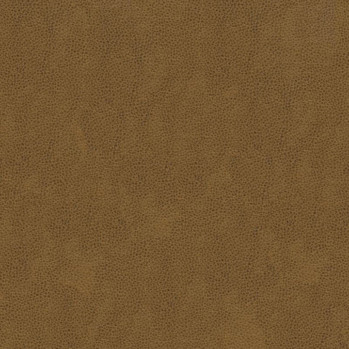 BALARA.616 by Kravet Contract Designer Fabric our website for purchase 100% Leather China Heavy Horizontal: see sample and Vertical: see sample 55 inches - Swanky Fabrics -