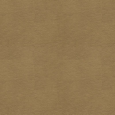 Kravet Contract Balara-106 by Kravet Contract Fabric