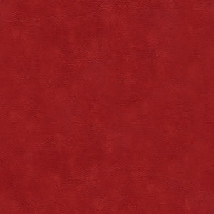 Kravet Contract Balara-19 by Kravet Contract Fabric
